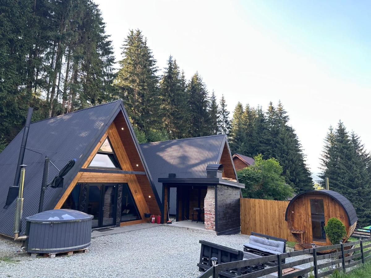 Cabana Green Hill Borşa المظهر الخارجي الصورة